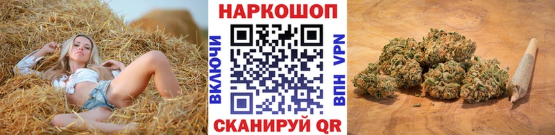 Наркота Богданович Галлюциногенные грибы  LSD-25  Кокаин  АМФ  ГАШИШ 