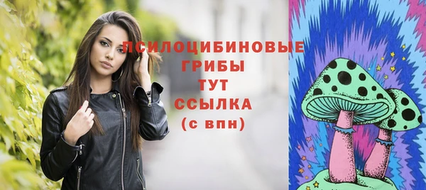 ПСИЛОЦИБИНОВЫЕ ГРИБЫ Алексин