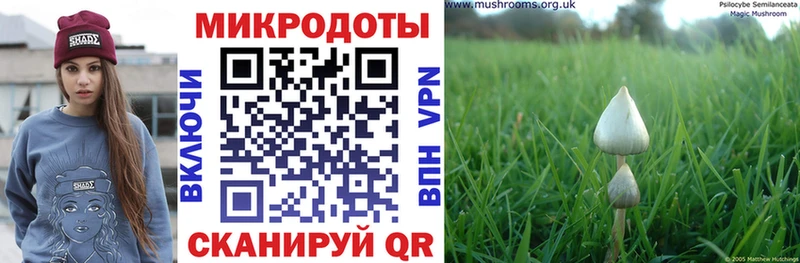 МЕГА маркетплейс  Богданович  Псилоцибиновые грибы мухоморы 