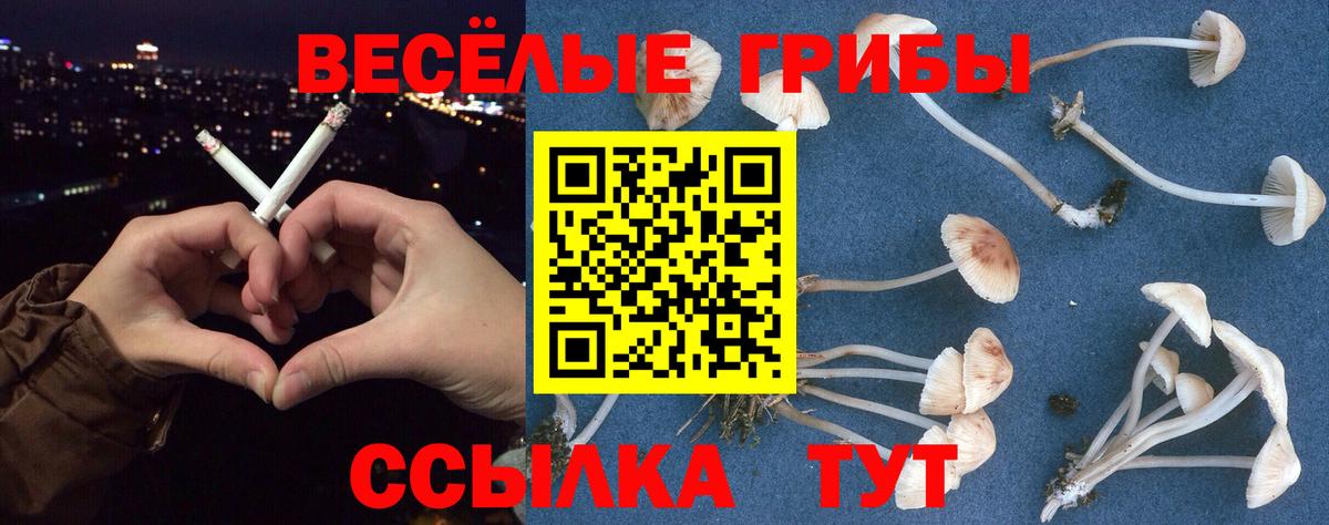 Псилоцибиновые грибы мухоморы  Вход с VPN  Богданович 